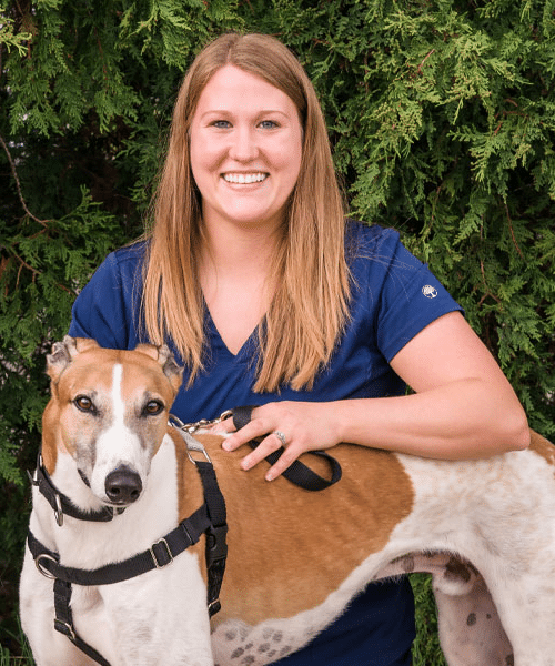 Oregon, OH 43616 Veterinarians | Country Squire Animal Hospital